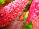 0875_deskwalls_1600x1179_172_01gx.jpg