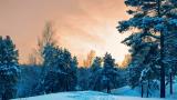 1620_deskwalls_5090x2864_3_go3s.jpg