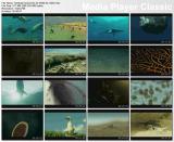 4062_harikalar.denizi.bl.03.web_dl.h264.mkv_thumbs__2013.09._z8n4.jpg