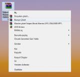 7397_snapshot_130312_115934_rd7j.jpg