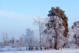 7834_deskwalls_3895x2596_123_qxut.jpg